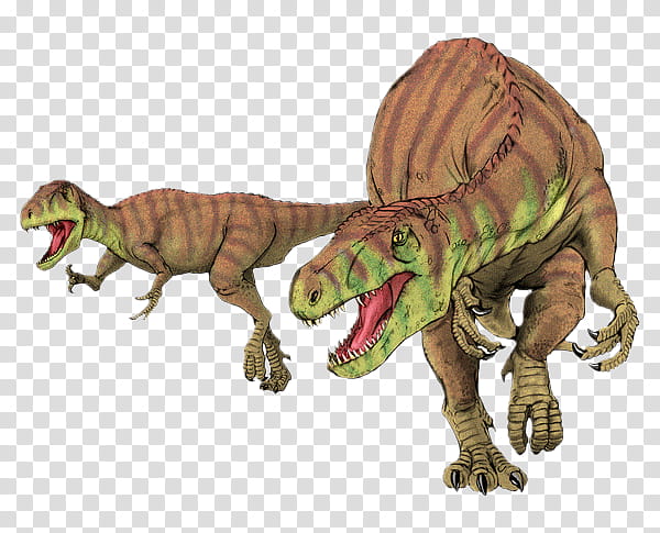 Dinosaur, Afrovenator, Torvosaurus, Eustreptospondylus, Megalosaurus, Jobaria, Theropods, Janenschia transparent background PNG clipart