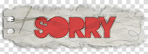 TEXT , sorry text transparent background PNG clipart