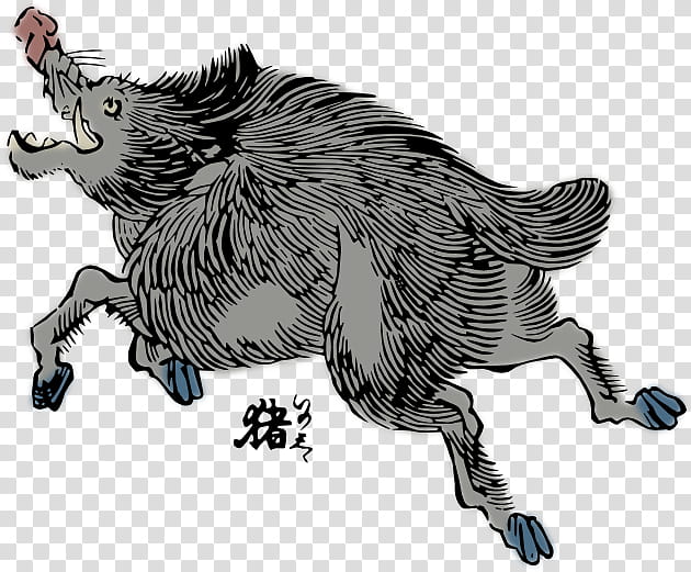 Wild Boar Gray Wild Boar Illustration Transparent Background Png Clipart Hiclipart