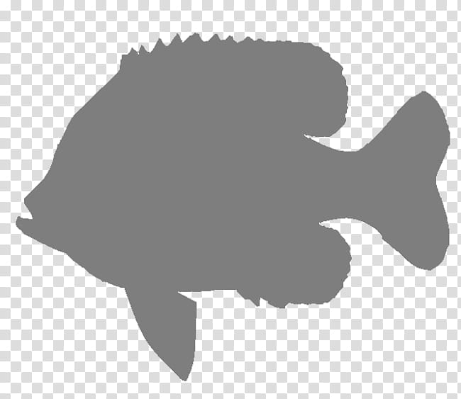 Fishing, Silhouette, Bluegill, Black Crappie, Cartoon, Muskellunge, Crappies transparent background PNG clipart