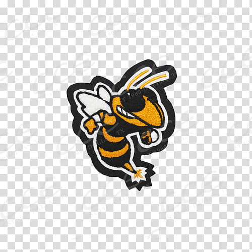 Bee, East Central High School, Honey Bee, Charlotte Hornets, Mascot, School
, Insect, Sports transparent background PNG clipart