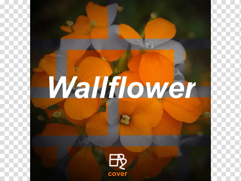 Jess Godwin, Wallflower (Reconstructed Cover) transparent background PNG clipart