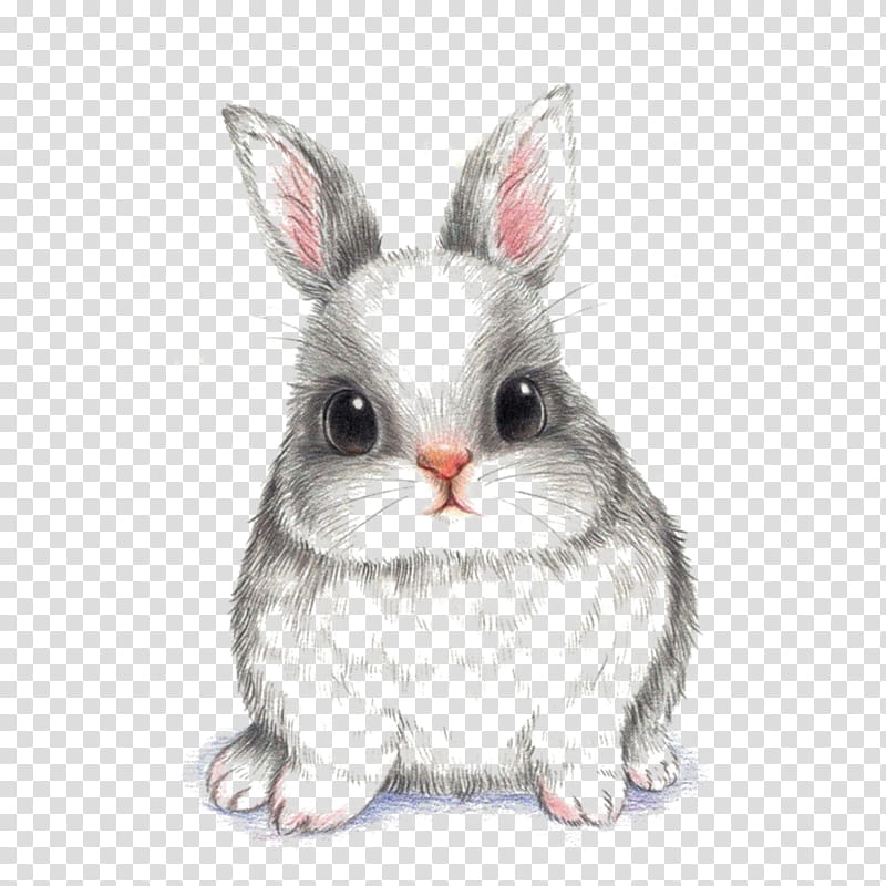 Painting, Rabbit, Drawing, European Rabbit, Hare, Cartoon, Rabbit Rabbit Rabbit, Cuteness transparent background PNG clipart