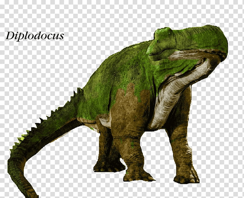 Train, Yangchuanosaurus, Diplodocus, Tyrannosaurus, Apatosaurus, Dinosaur, Metriacanthosaurus, Giganotosaurus transparent background PNG clipart
