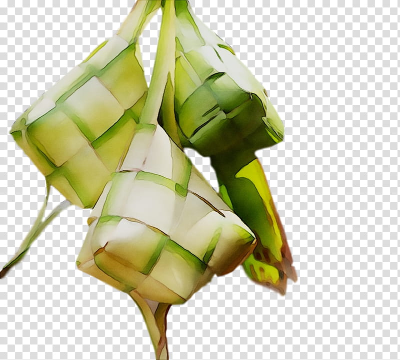 Ketupat, Commodity, Plant Stem, Dish Network, Plants, Food, Vegetable, Dumpling transparent background PNG clipart