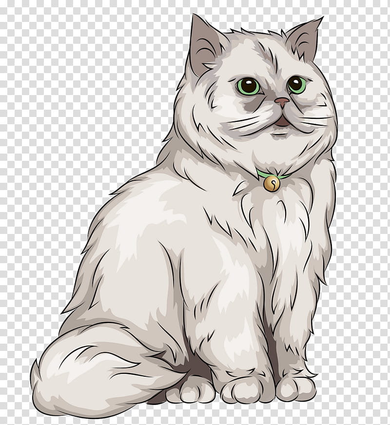 cat white small to medium-sized cats line art whiskers, Small To Mediumsized Cats, Persian, Drawing, British Longhair transparent background PNG clipart