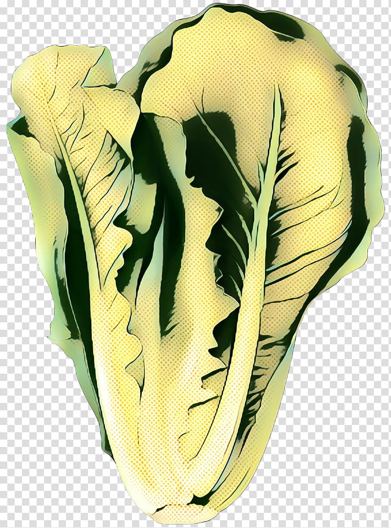 Monstera Leaf, Plants, Yellow, Vegetable, Vase, Monstera Deliciosa, Cabbage, Leaf Vegetable transparent background PNG clipart