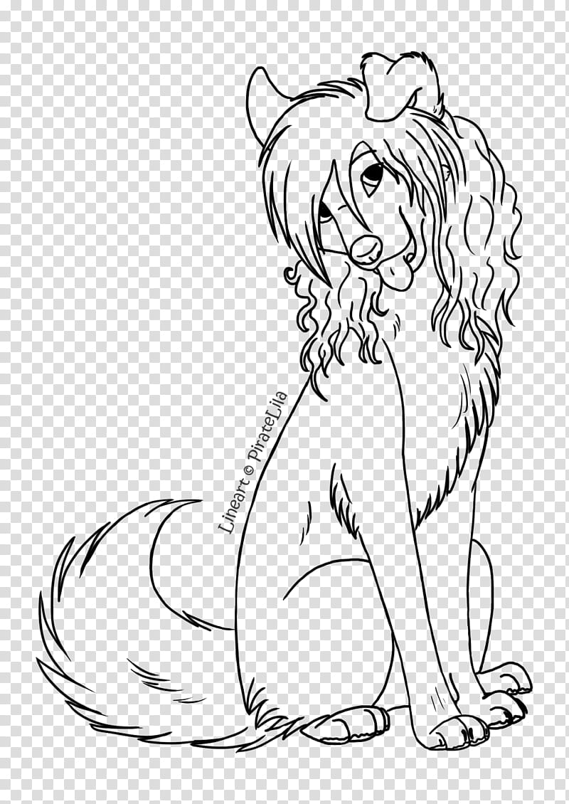 Free lineart dog with hair, black dog character illustration transparent background PNG clipart