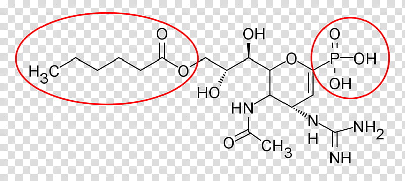 Neuraminidase Inhibitor Text, Zanamivir, Prodrug, Oseltamivir, Sialic Acid, Enzyme Inhibitor, Laninamivir, Pharmaceutical Drug transparent background PNG clipart