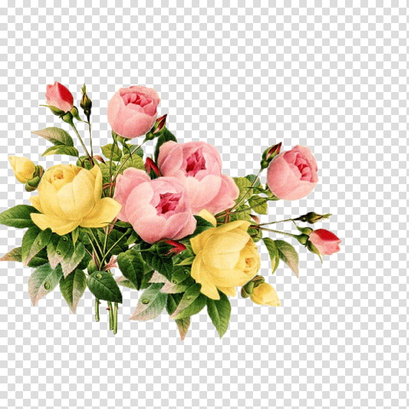 Pink Flower, Floral Design, Flower Bouquet, Antique, Petal, Rose, Document, Plant transparent background PNG clipart