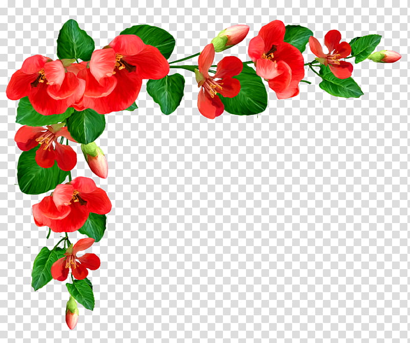 Flower Borders, BORDERS AND FRAMES, Plant, Petal, Branch, Artificial Flower, Impatiens, Crown Of Thorns transparent background PNG clipart