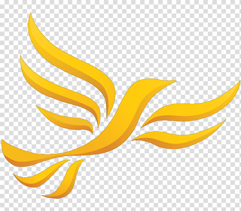 Wales Yellow, Liberal Democrats On Kent County Council, Montgomeryshire, Welsh Liberal Democrats, Scottish Liberal Democrats, Liberalism, United Kingdom, Line transparent background PNG clipart