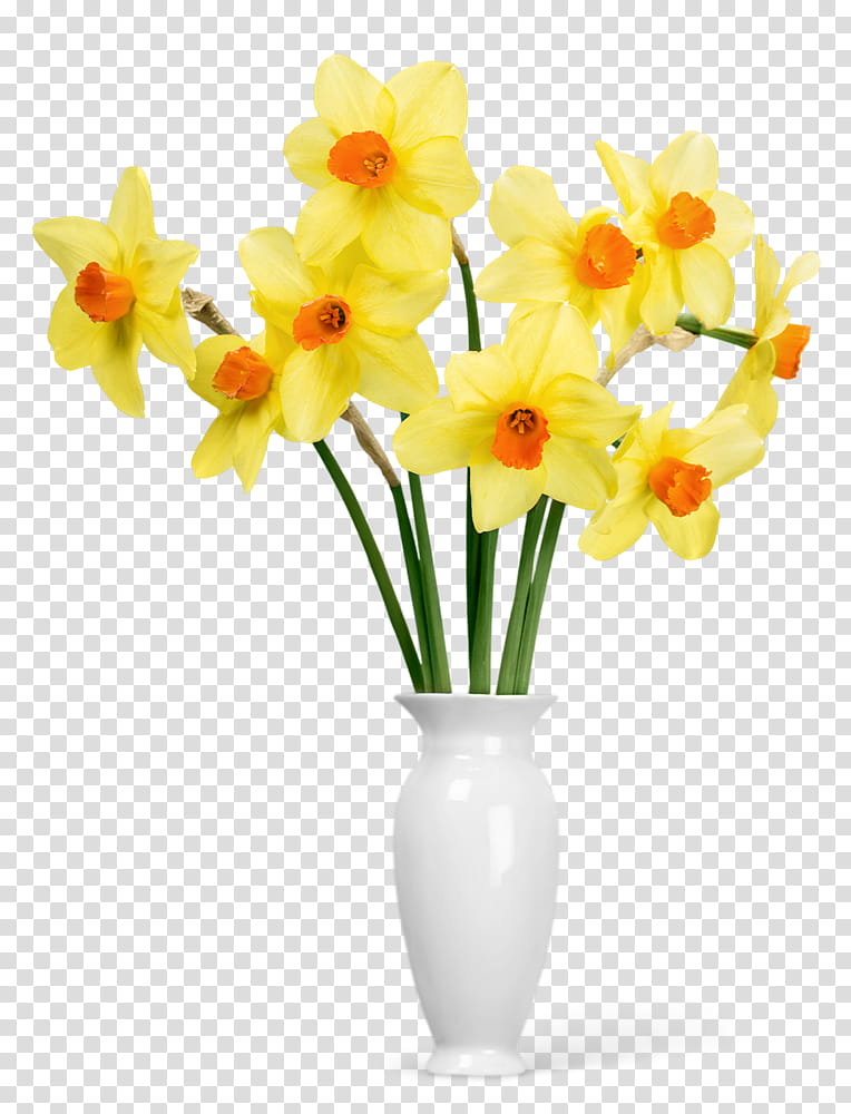 Floral Flower, Daffodil, Flower Bouquet, Cut Flowers, Floral Design, Vase, Flowerpot, Narcissus transparent background PNG clipart