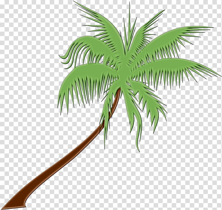 Coconut Leaf Drawing png download - 1006*1138 - Free Transparent Coconut  png Download. - CleanPNG / KissPNG