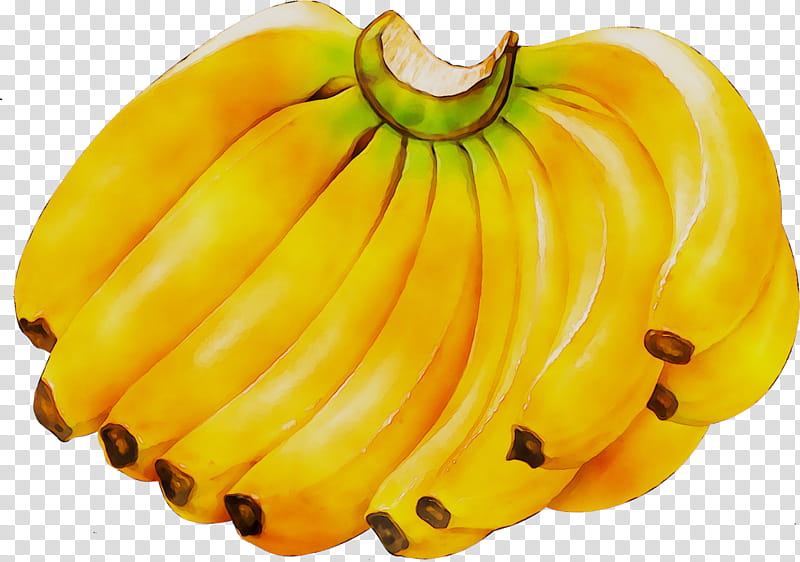 Drawing Of Family, Banana, Cavendish Banana, Fruit, Cooking Banana, Red Banana, Peel, Musa Acuminata transparent background PNG clipart