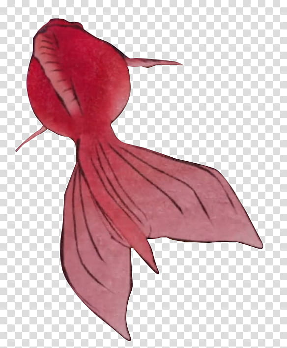 Mononoke, red gold fish illustration transparent background PNG clipart
