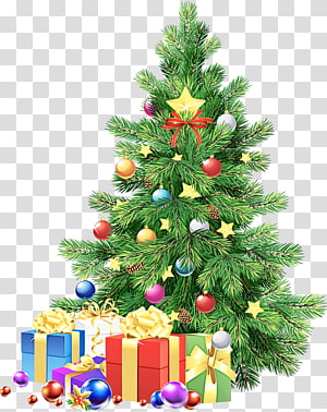 Christmas tree, Christmas Decoration, Colorado Spruce, Oregon Pine, Christmas Ornament, Christmas 
, Fir, Plant transparent background PNG clipart thumbnail