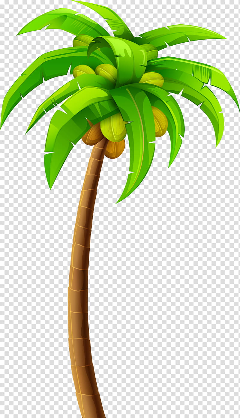 Palm Tree Silhouette, Palm Trees, PICT, Logo, Web Design, Plant, Leaf, Flower transparent background PNG clipart
