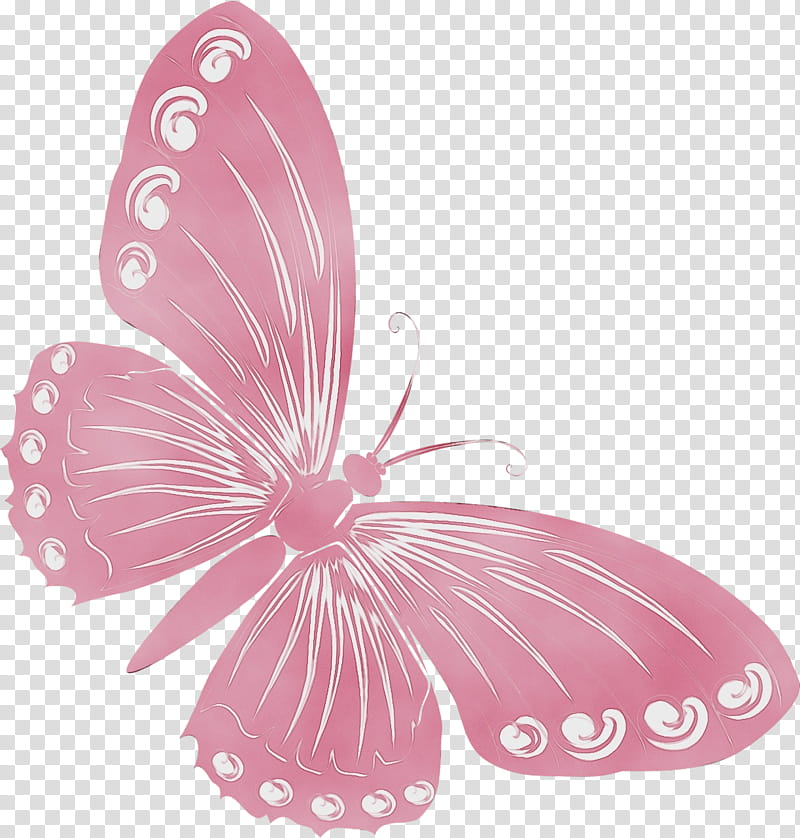 Watercolor Butterfly, Paint, Wet Ink, Brushfooted Butterflies, Mathematics, Horse, Number, Cantidad transparent background PNG clipart