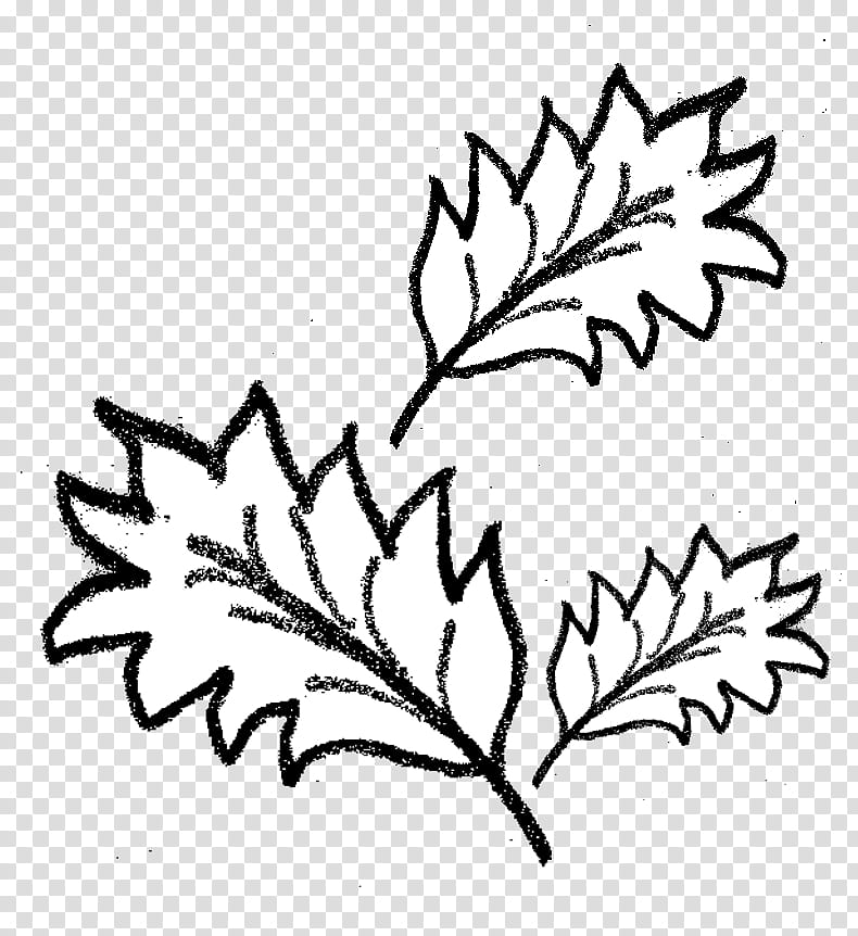 , white and black plant leaves transparent background PNG clipart