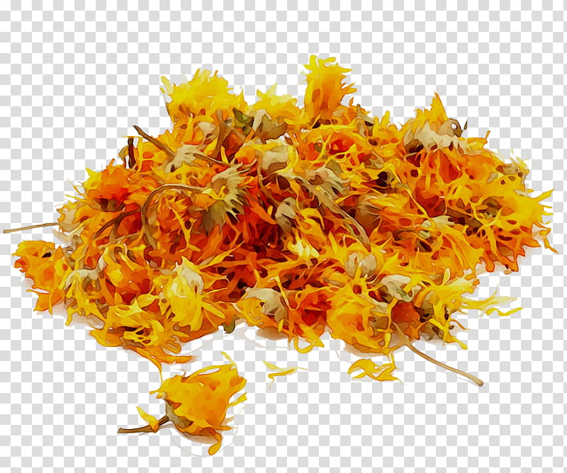 Marigold Flower, English Marigold, Yellow, Plant transparent background PNG clipart