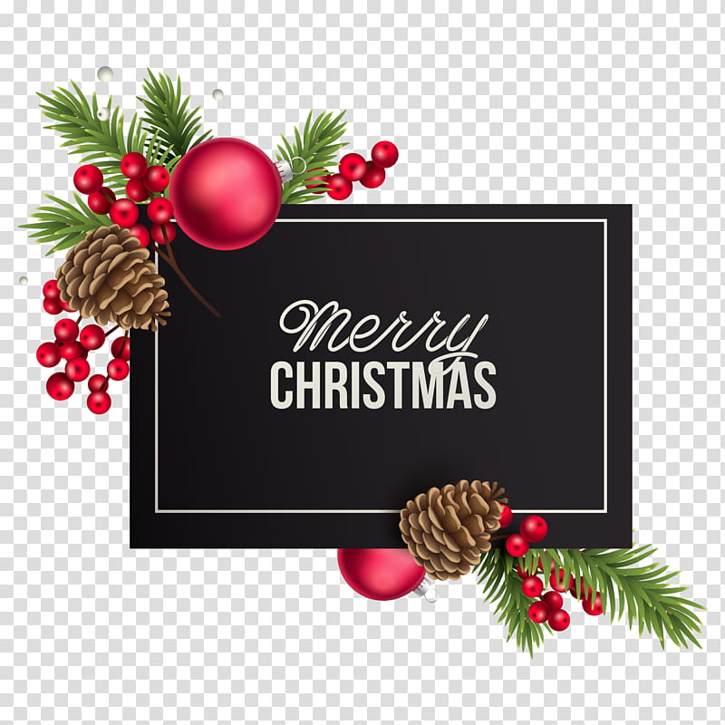 Christmas And New Year, Christmas , Happy Holi, Christmas Ornament, Party, Birthday
, Cartoon, Text transparent background PNG clipart