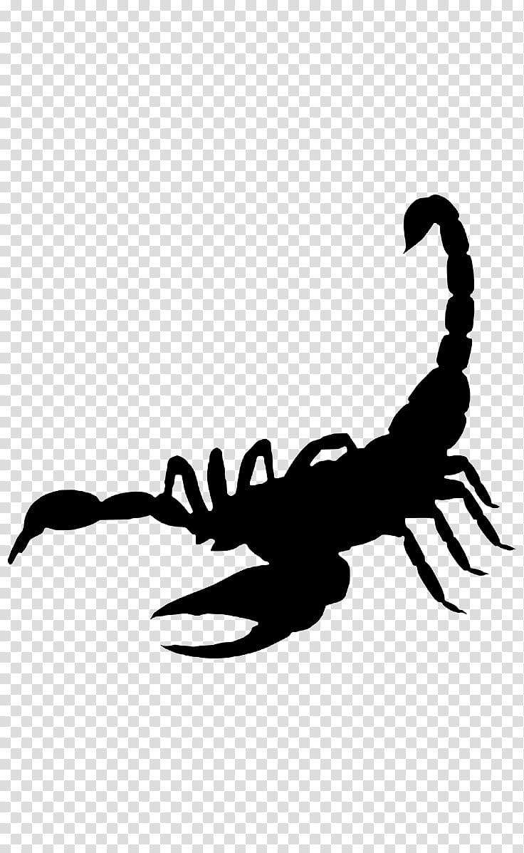 scorpion american lobster crab crayfish lobster, Homarus, Decapoda, Seafood, Claw transparent background PNG clipart