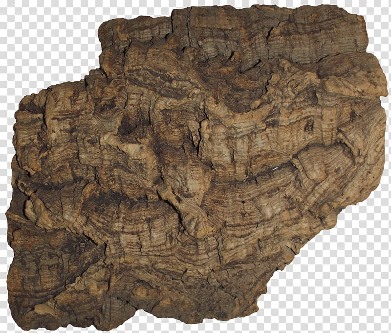 Phellem Cork Bark  Clear Cut, brown rock transparent background PNG clipart