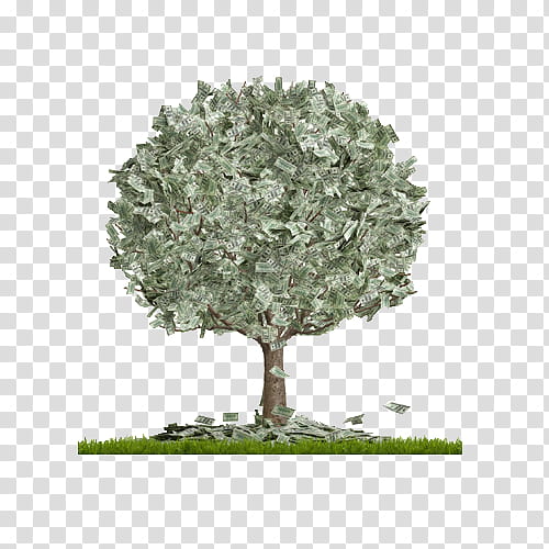 money tree illustration transparent background PNG clipart