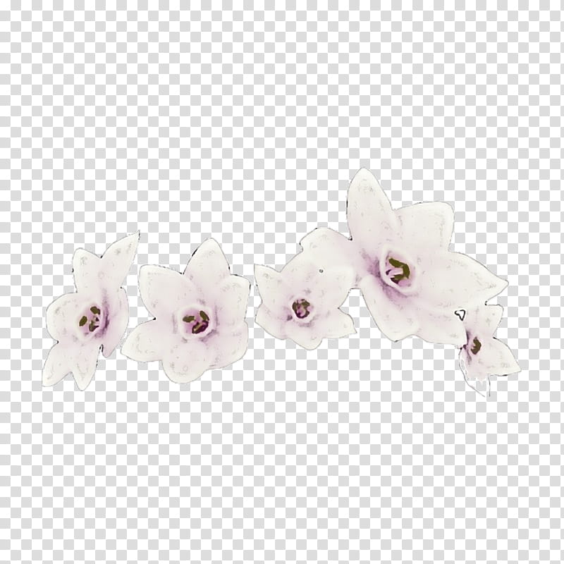 white violet pink lilac flower, Petal, Plant, Purple, Moth Orchid, Dendrobium, Branch, Blossom transparent background PNG clipart