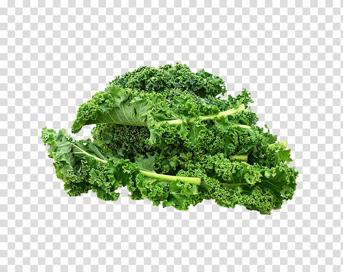 Vegetables, Baby Food, Eating, Healthy Diet, Greens, Infant, Curly Kale, Nutrition transparent background PNG clipart