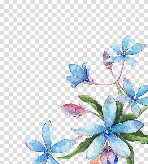 purple flower transparent background PNG clipart