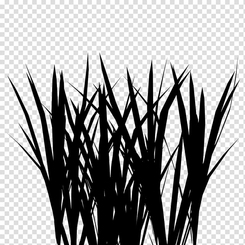 Family Tree Silhouette, Commodity, Computer, Grasses, Plant Stem, Plants, Blackandwhite, Grass Family transparent background PNG clipart