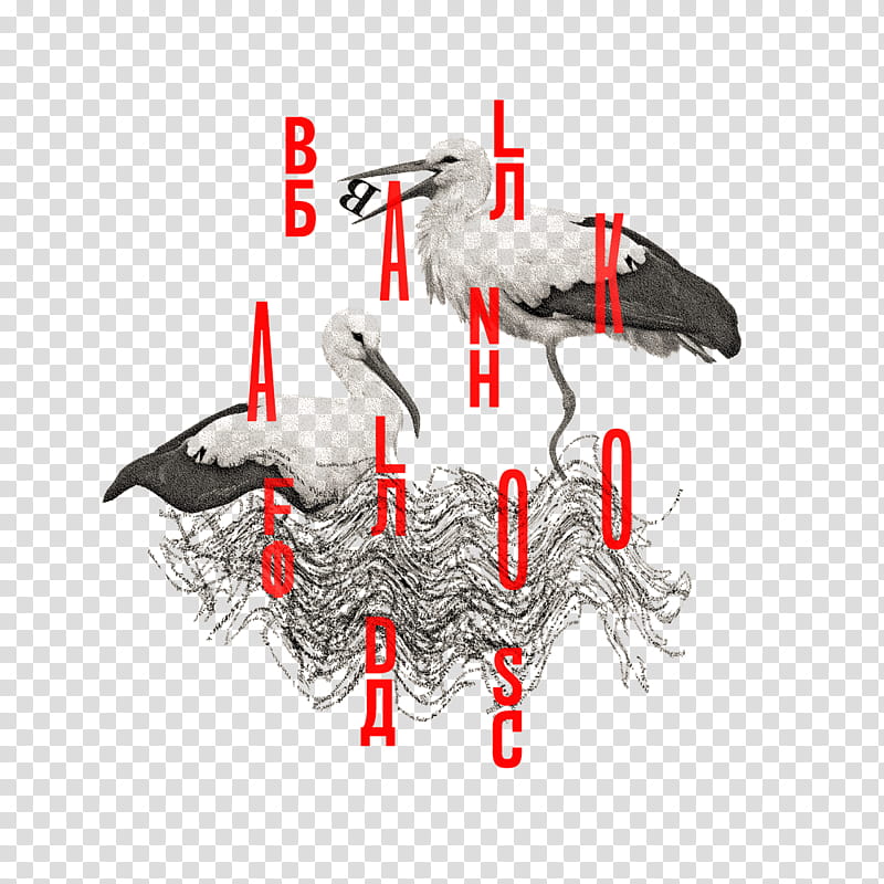 Poster, Typography, Slanted, Print Design, Type Design, Red, Beak, Bird transparent background PNG clipart