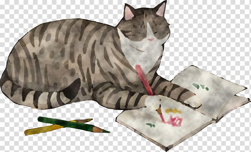 cat draw book, Small To Mediumsized Cats, Ocicat, European Shorthair, Whiskers, Kitten, Domestic Shorthaired Cat, Cat Supply transparent background PNG clipart