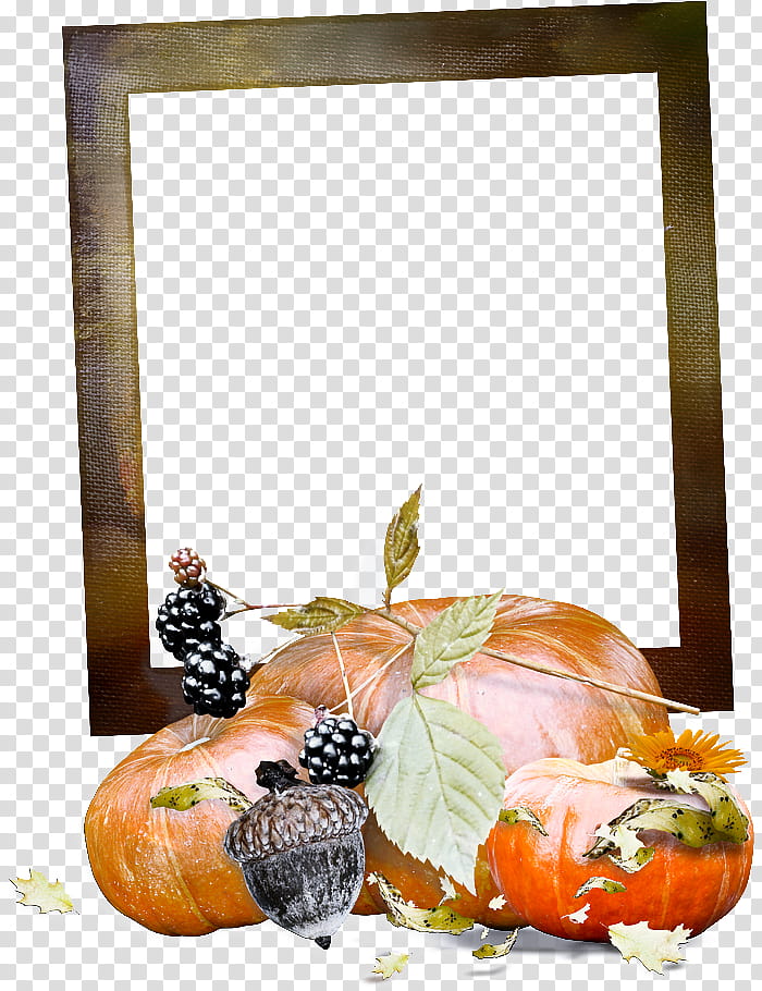 frame, Orange, Fruit, Pumpkin, Frame, Leaf, Still Life, Vegetable transparent background PNG clipart
