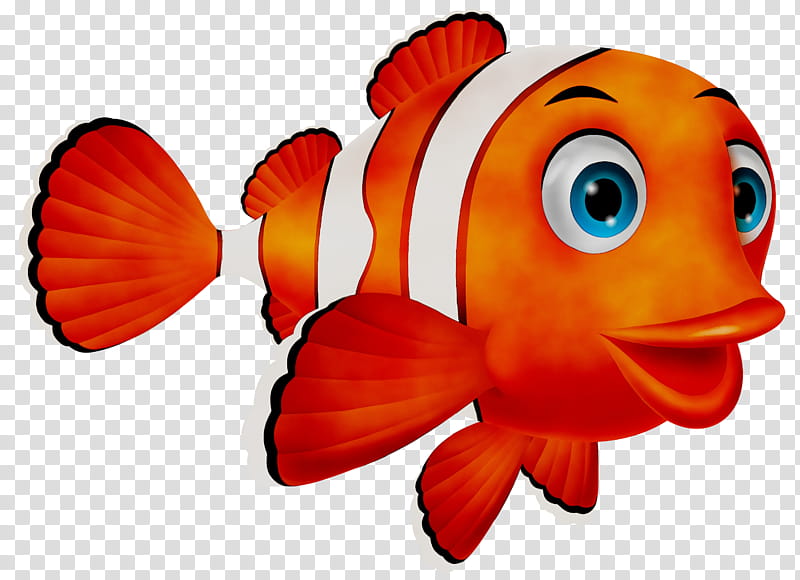 Fish, Cartoon, Drawing, Anemone Fish, Clownfish, Pomacentridae, Orange, Goldfish transparent background PNG clipart