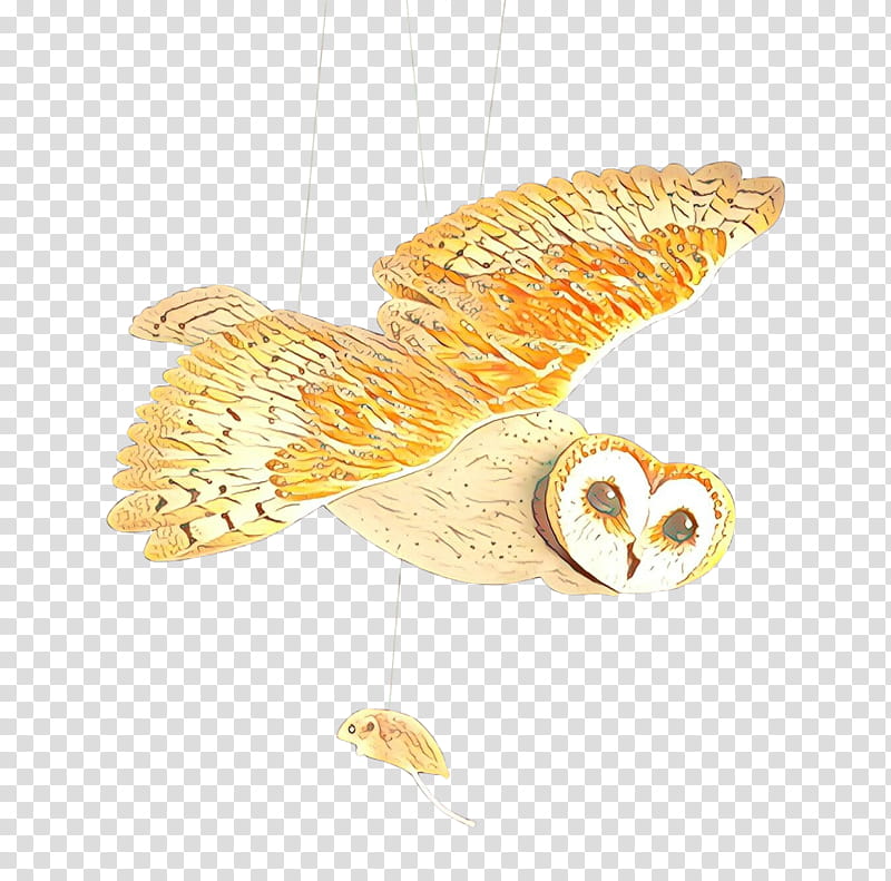Dinosaur, Owl, Tawny Owl, Bird, Barn Owl, Little Owl, Beak, Feather transparent background PNG clipart