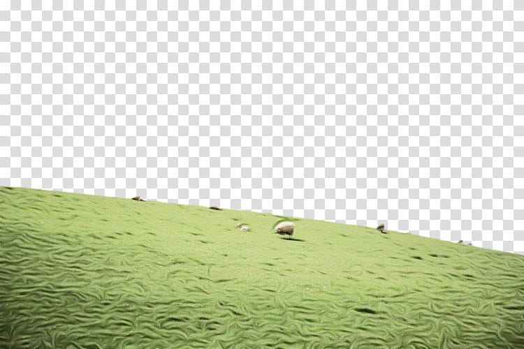 grassland pasture green nature grass, Watercolor, Paint, Wet Ink, Natural Environment, Meadow, Plain, Prairie transparent background PNG clipart