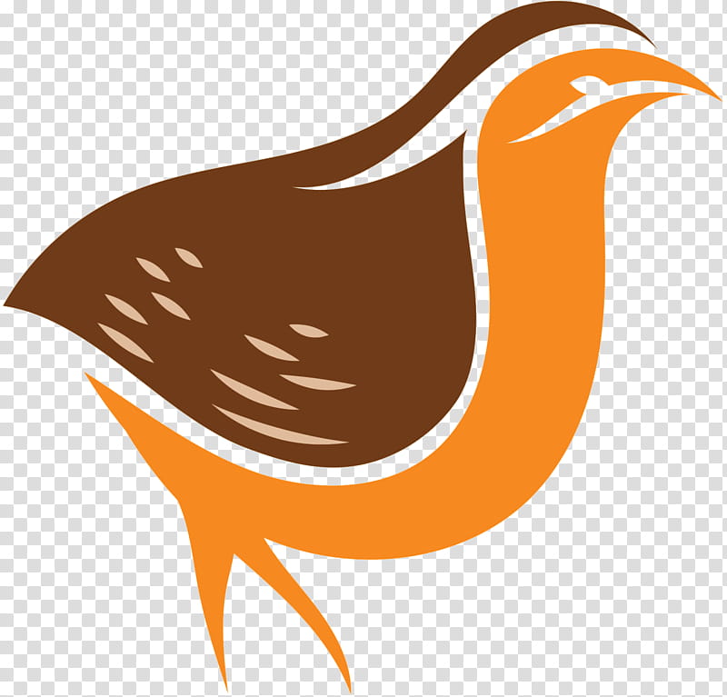Bird Logo, Beak, Landfowl, Orange Sa transparent background PNG clipart
