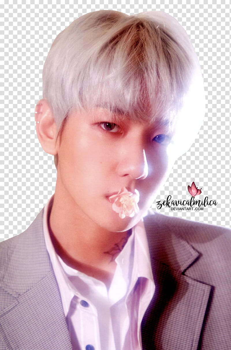 EXO CBX Baekhyun Blooming Days, man wearing gray blazer and biting flower transparent background PNG clipart