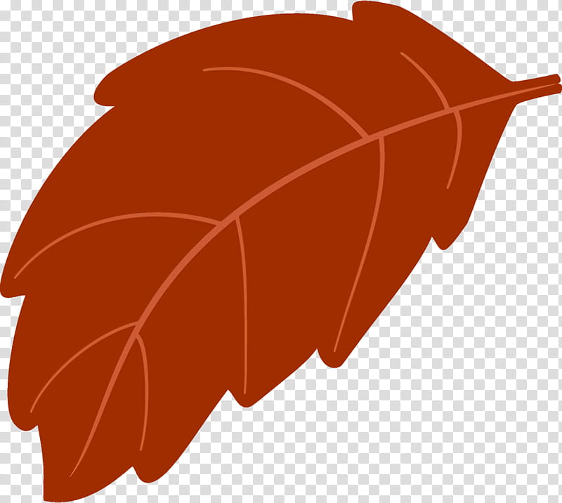 autumn leaf fallen leaf dead leaf, Tree, Plant, Deciduous, Beech transparent background PNG clipart