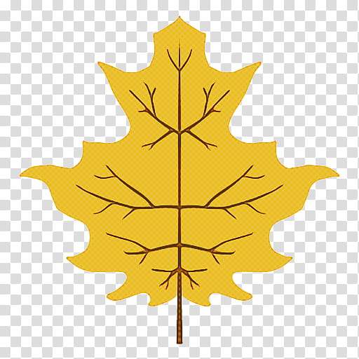 Maple leaf, Tree, Black Maple, Plane, Woody Plant, Yellow, Silver Maple, Sweet Gum transparent background PNG clipart