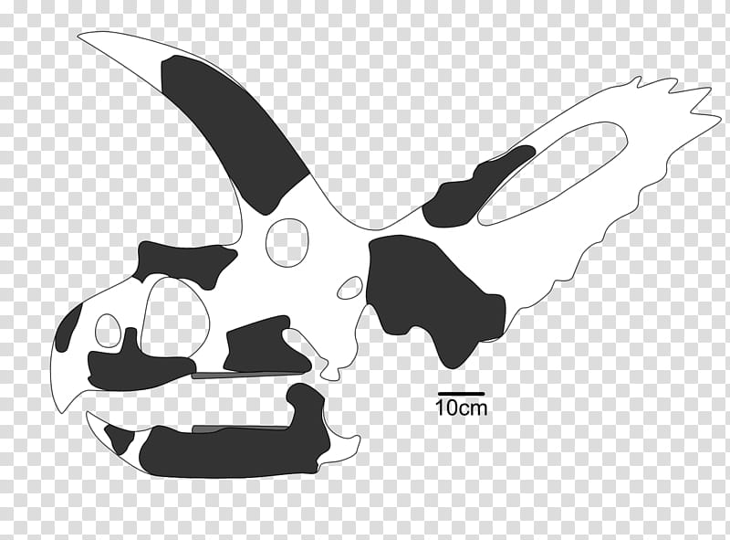 Dog Silhouette, Coahuilaceratops, Pentaceratops, Cerro Del Pueblo Formation, Kritosaurus, Chasmosaurus, Chasmosaurinae, Late Cretaceous transparent background PNG clipart