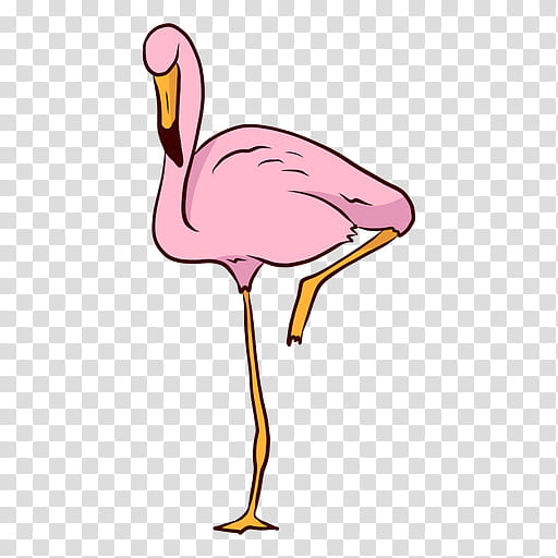 Flamingo Silhouette, Phoenicopterus, Drawing, Flamenco, Cartoon, Dance, Bird, Greater Flamingo transparent background PNG clipart