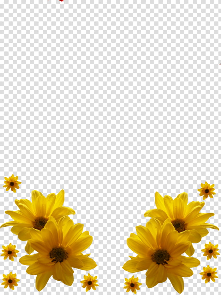 OD de flores , yellow flower lot transparent background PNG clipart