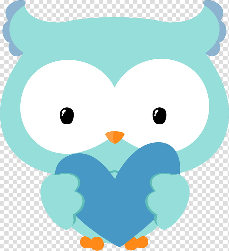 Owl, Bird, Beak, Little Owl, Drawing, Barn Owl, Animal, Pet transparent background PNG clipart