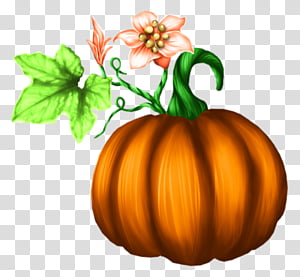 Winter, Jackolantern, Gourd, Pumpkin, Winter Squash, Calabaza, Vegetarian Cuisine, Food transparent background PNG clipart thumbnail