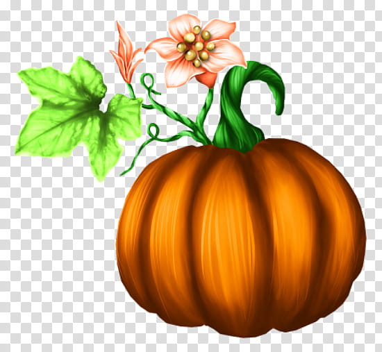 Winter, Jackolantern, Gourd, Pumpkin, Winter Squash, Calabaza, Vegetarian Cuisine, Food transparent background PNG clipart Winter, Jackolantern, Gourd, Pumpkin, Winter Squash, Calabaza, Vegetarian Cuisine, Food transparent background PNG clipart