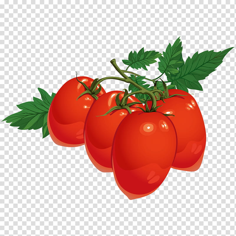 Drawing Of Family, Cherry Tomato, Tomato Juice, Vegetable, Pear Tomato, Fruit, Food, Plum Tomato transparent background PNG clipart